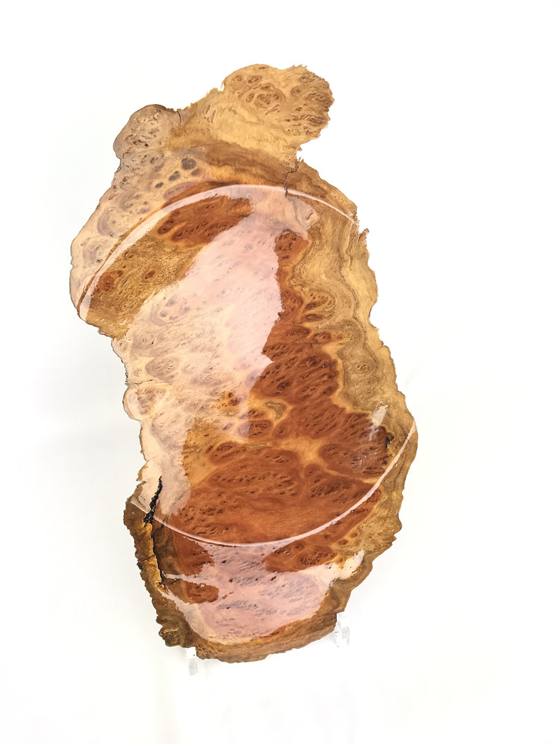 Coolibah Burl Bowl